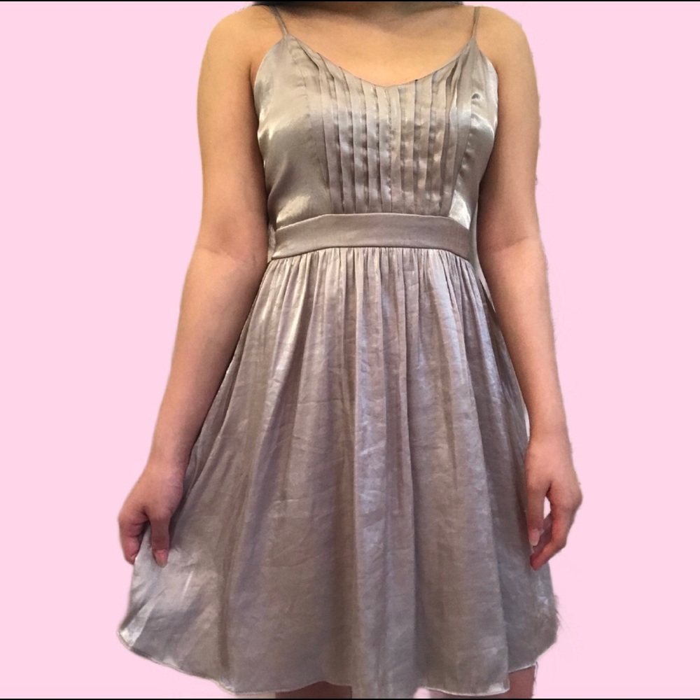 Silver Dress
